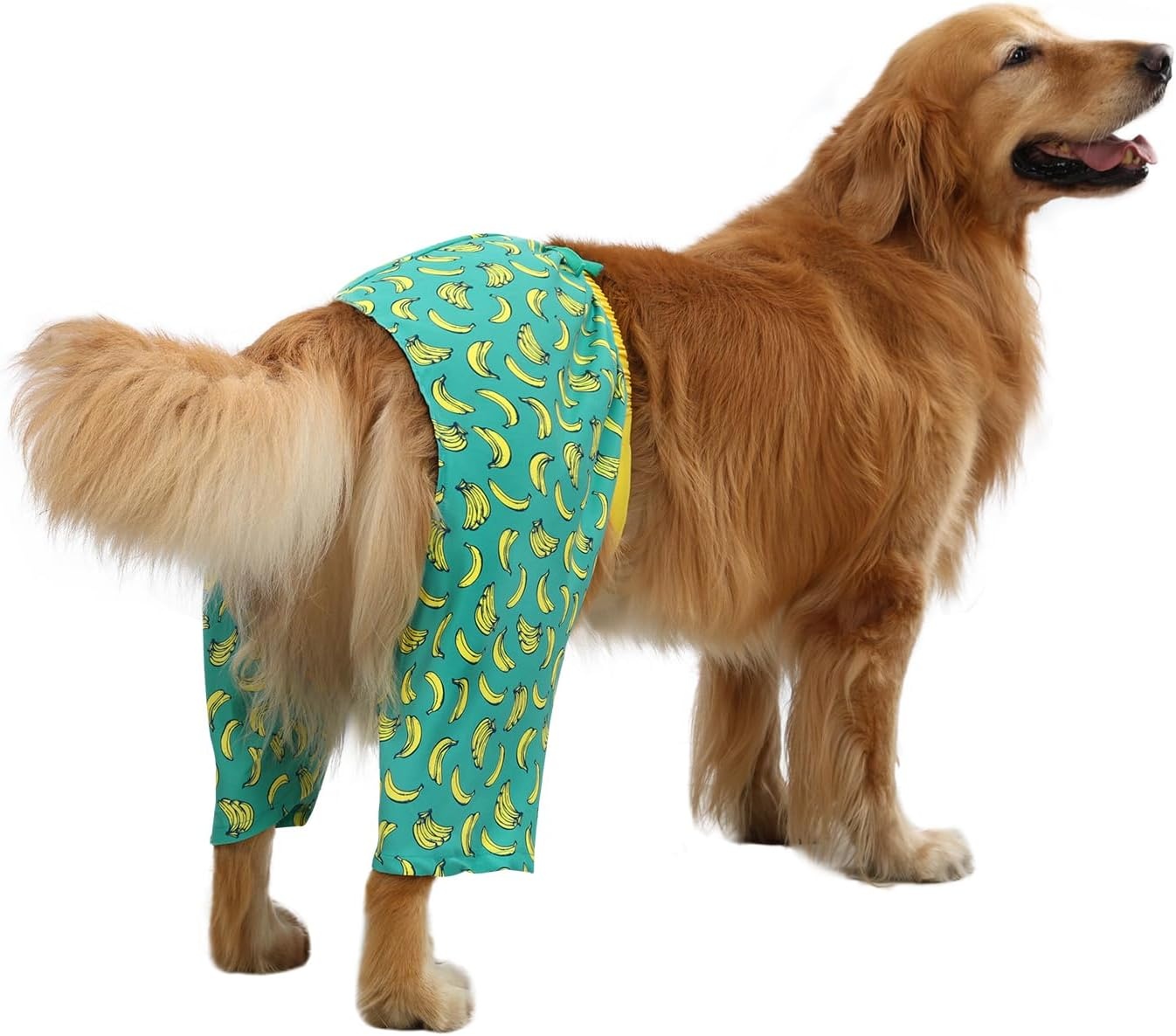 image:imageHDE Dog Swim Trunks Hawaiian Board Shorts Beach Pool Swimsuit for XS to XXL Dogs Blue Sharks XSBananas