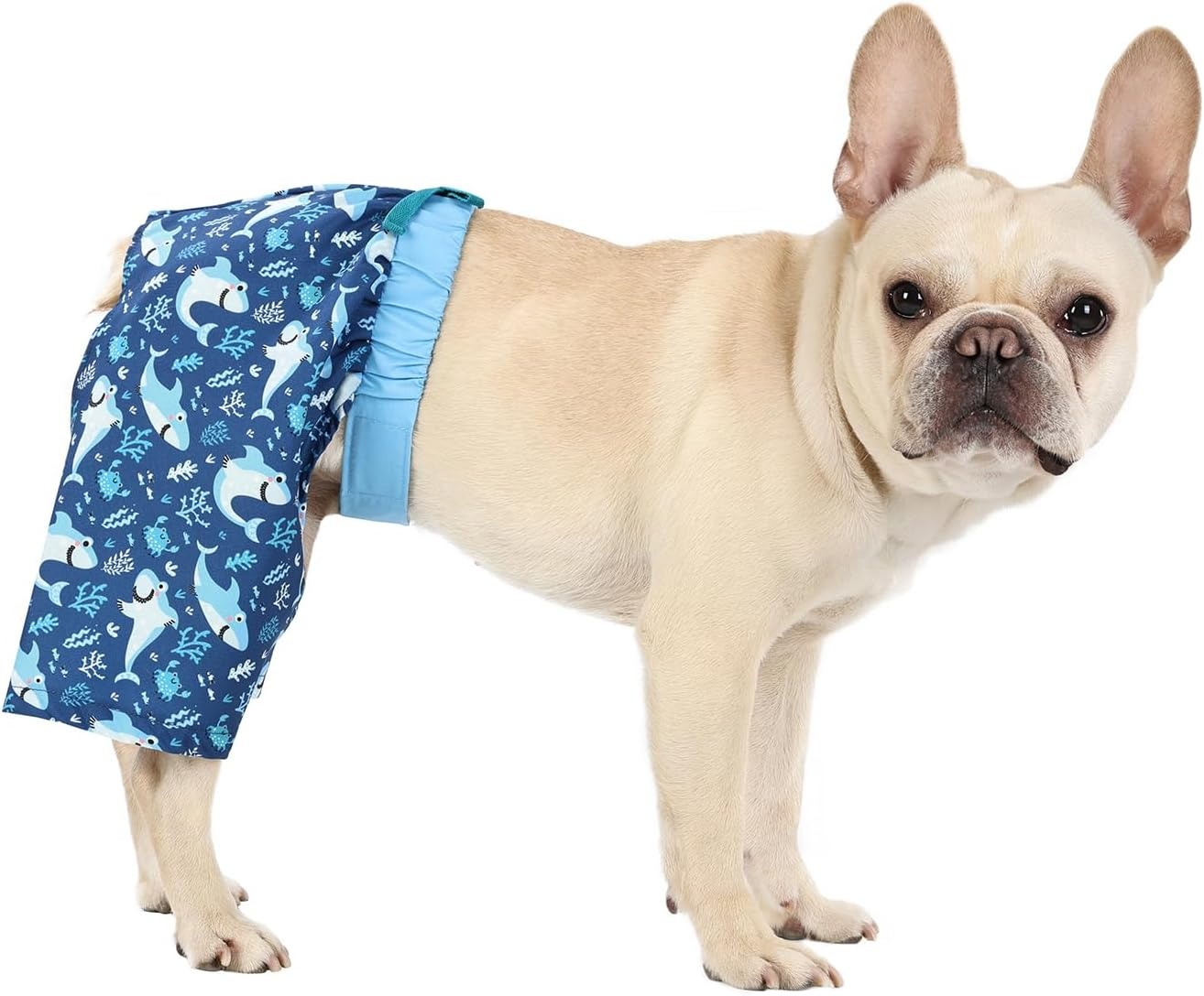 image:imageHDE Dog Swim Trunks Hawaiian Board Shorts Beach Pool Swimsuit for XS to XXL Dogs Blue Sharks XSBlue Sharks