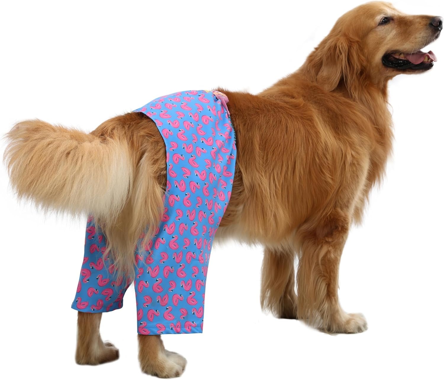 image:imageHDE Dog Swim Trunks Hawaiian Board Shorts Beach Pool Swimsuit for XS to XXL Dogs Blue Sharks XSFlamingos