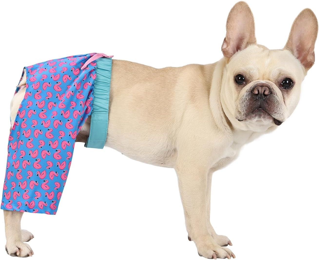 image:imageHDE Dog Swim Trunks Hawaiian Board Shorts Beach Pool Swimsuit for XS to XXL Dogs Blue Sharks XSFlamingos
