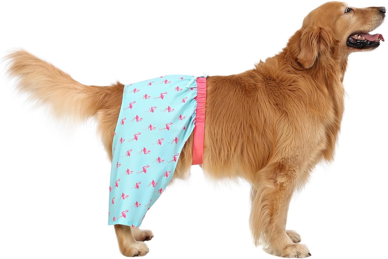 image:imageHDE Dog Swim Trunks Hawaiian Board Shorts Beach Pool Swimsuit for XS to XXL Dogs Blue Sharks XSParty Like a Flock Star
