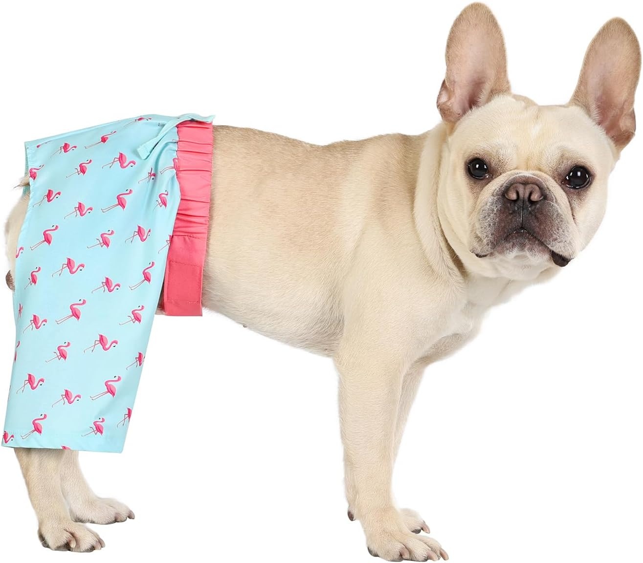 image:imageHDE Dog Swim Trunks Hawaiian Board Shorts Beach Pool Swimsuit for XS to XXL Dogs Blue Sharks XSParty Like a Flock Star