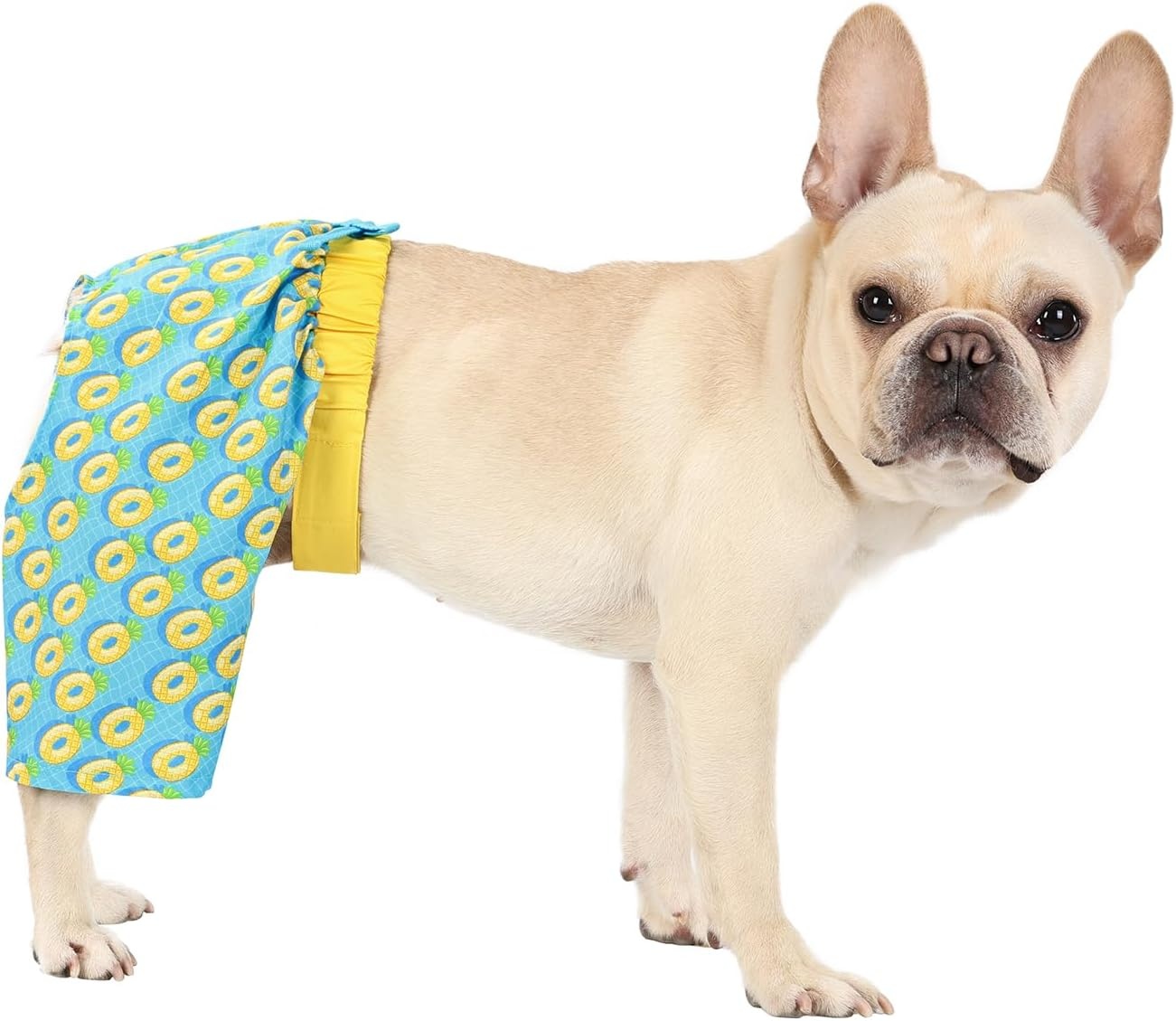 image:imageHDE Dog Swim Trunks Hawaiian Board Shorts Beach Pool Swimsuit for XS to XXL Dogs Blue Sharks XSPineapple Floats
