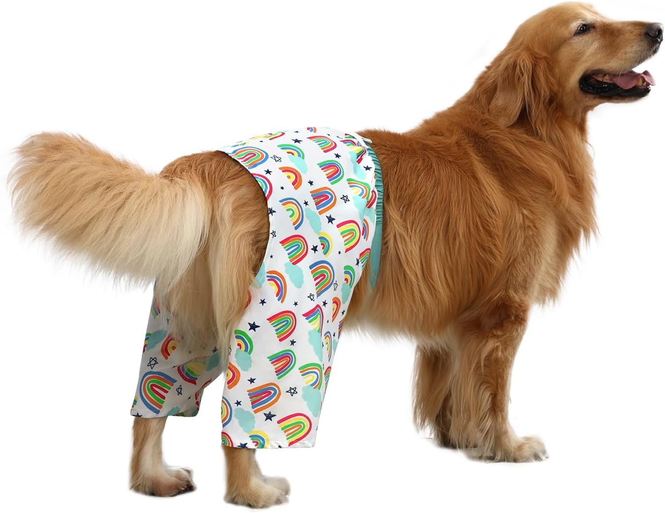 image:imageHDE Dog Swim Trunks Hawaiian Board Shorts Beach Pool Swimsuit for XS to XXL Dogs Blue Sharks XSRainbows