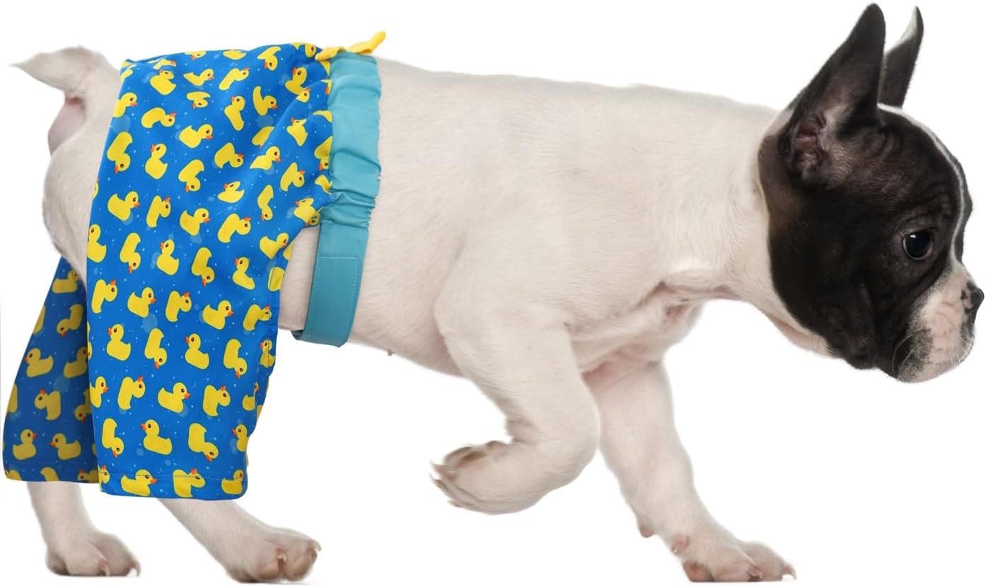 image:imageHDE Dog Swim Trunks Hawaiian Board Shorts Beach Pool Swimsuit for XS to XXL Dogs Blue Sharks XSRubber Ducks