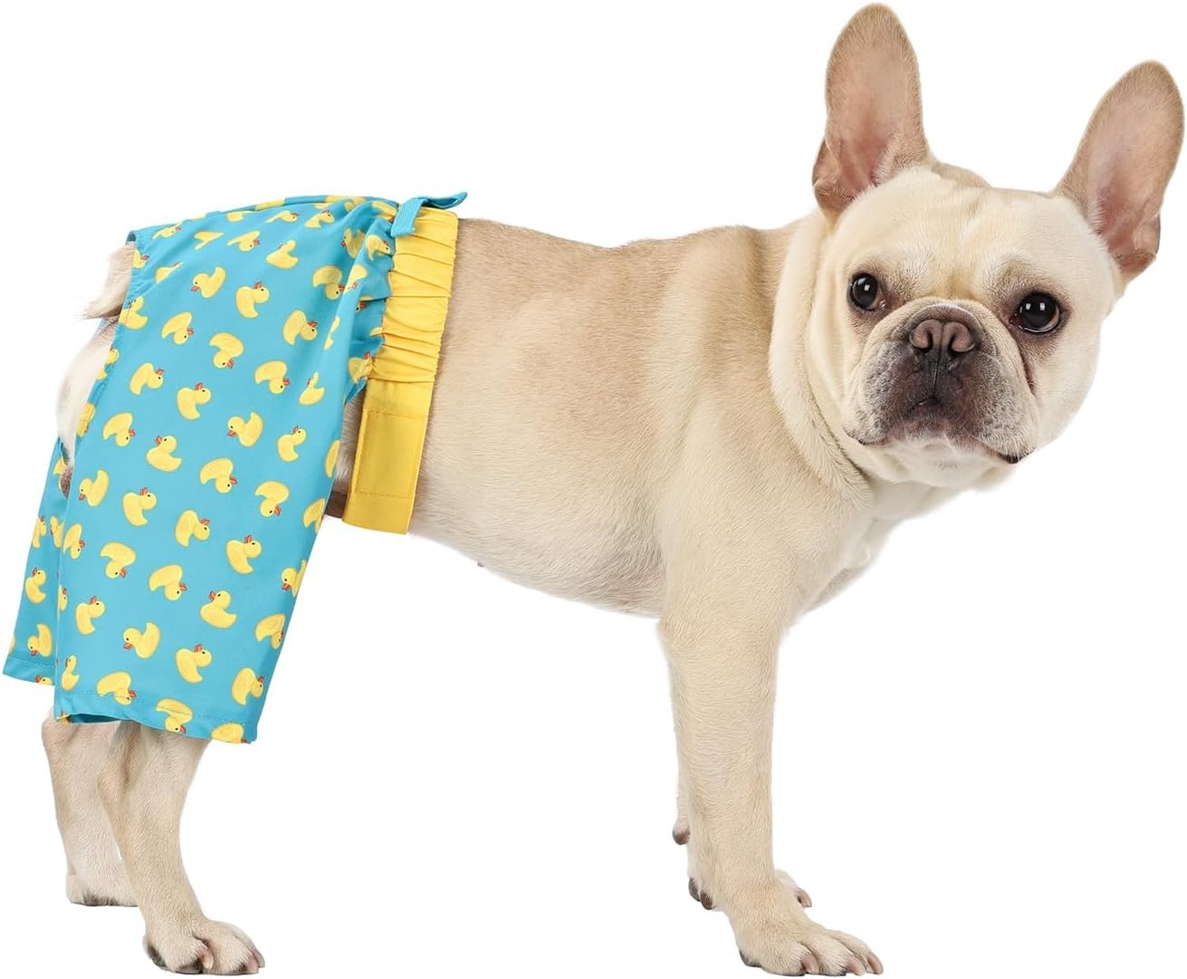 image:imageHDE Dog Swim Trunks Hawaiian Board Shorts Beach Pool Swimsuit for XS to XXL Dogs Blue Sharks XSTeal Rubber Ducks