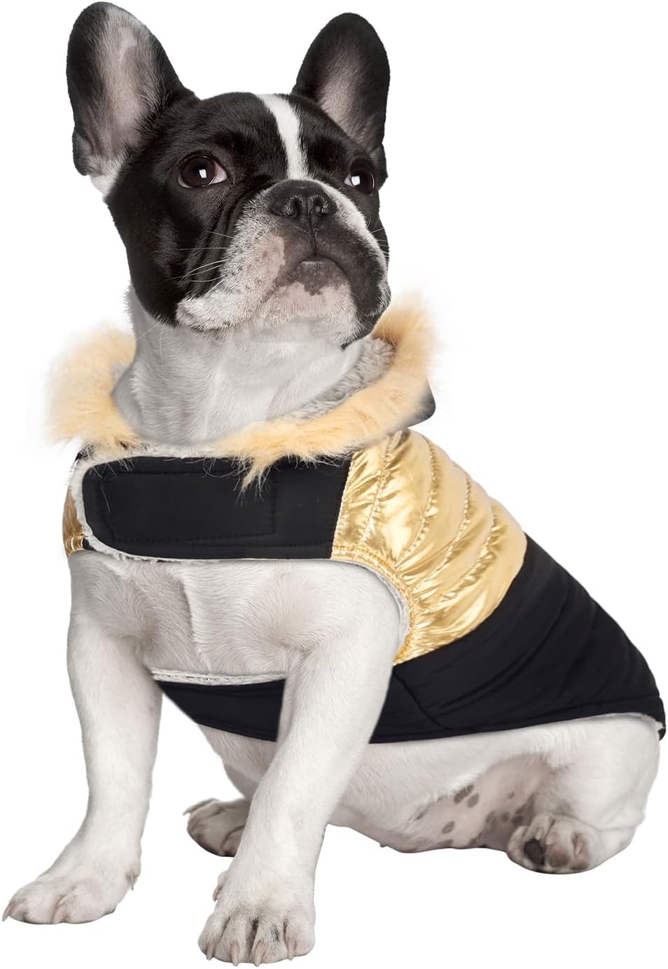 image:imageHDE Dog Puffer Jacket Fleece Lined Warm Dog Parka Winter Coat with Harness Hole 90s Black and Gold Metallic S90s Black and Gold Metallic