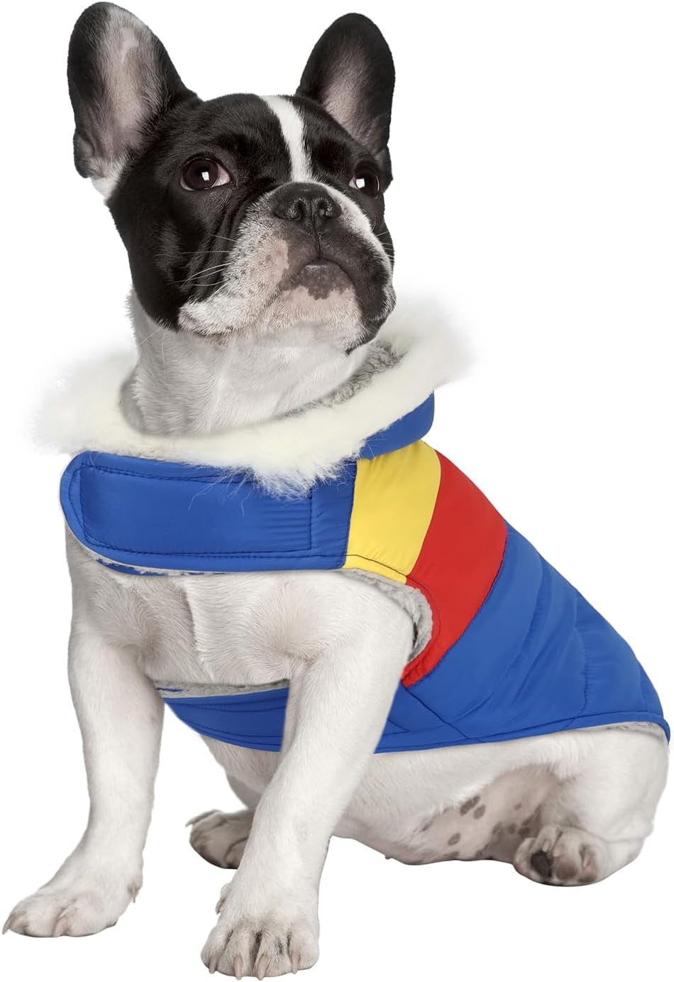 image:imageHDE Dog Puffer Jacket Fleece Lined Warm Dog Parka Winter Coat with Harness Hole 90s Black and Gold Metallic S90s Colorblock