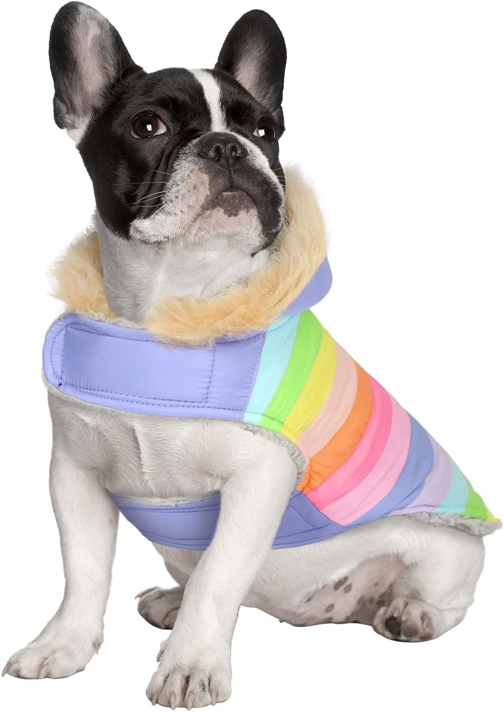 image:imageHDE Dog Puffer Jacket Fleece Lined Warm Dog Parka Winter Coat with Harness Hole 90s Black and Gold Metallic SPastel Rainbow