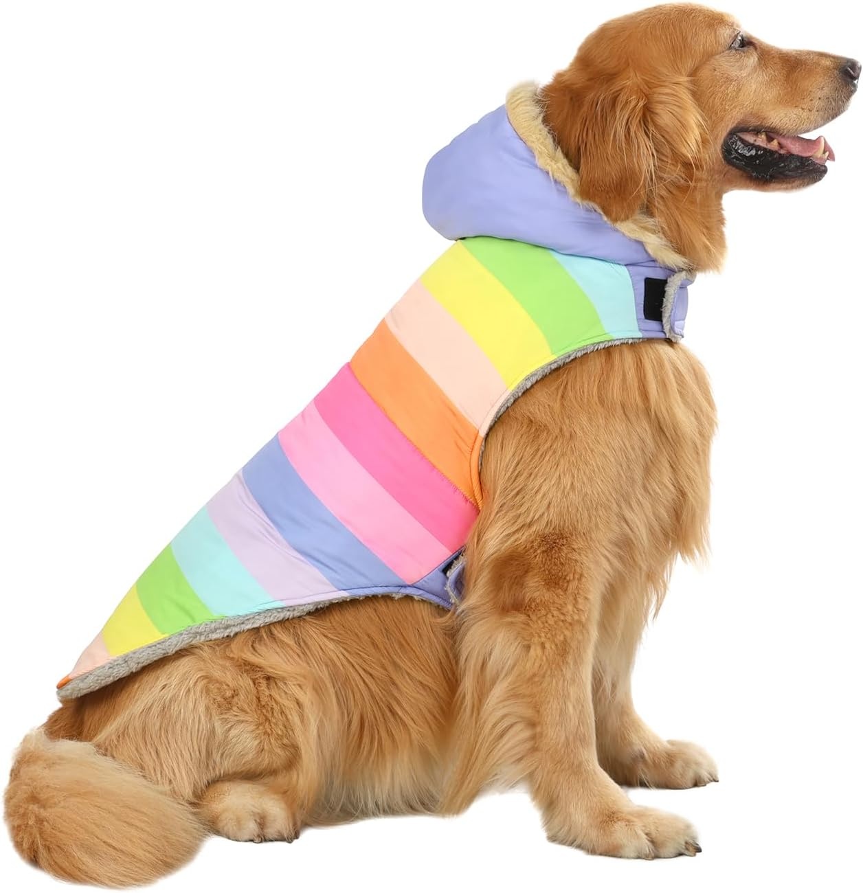 image:imageHDE Dog Puffer Jacket Fleece Lined Warm Dog Parka Winter Coat with Harness Hole 90s Black and Gold Metallic SPastel Rainbow