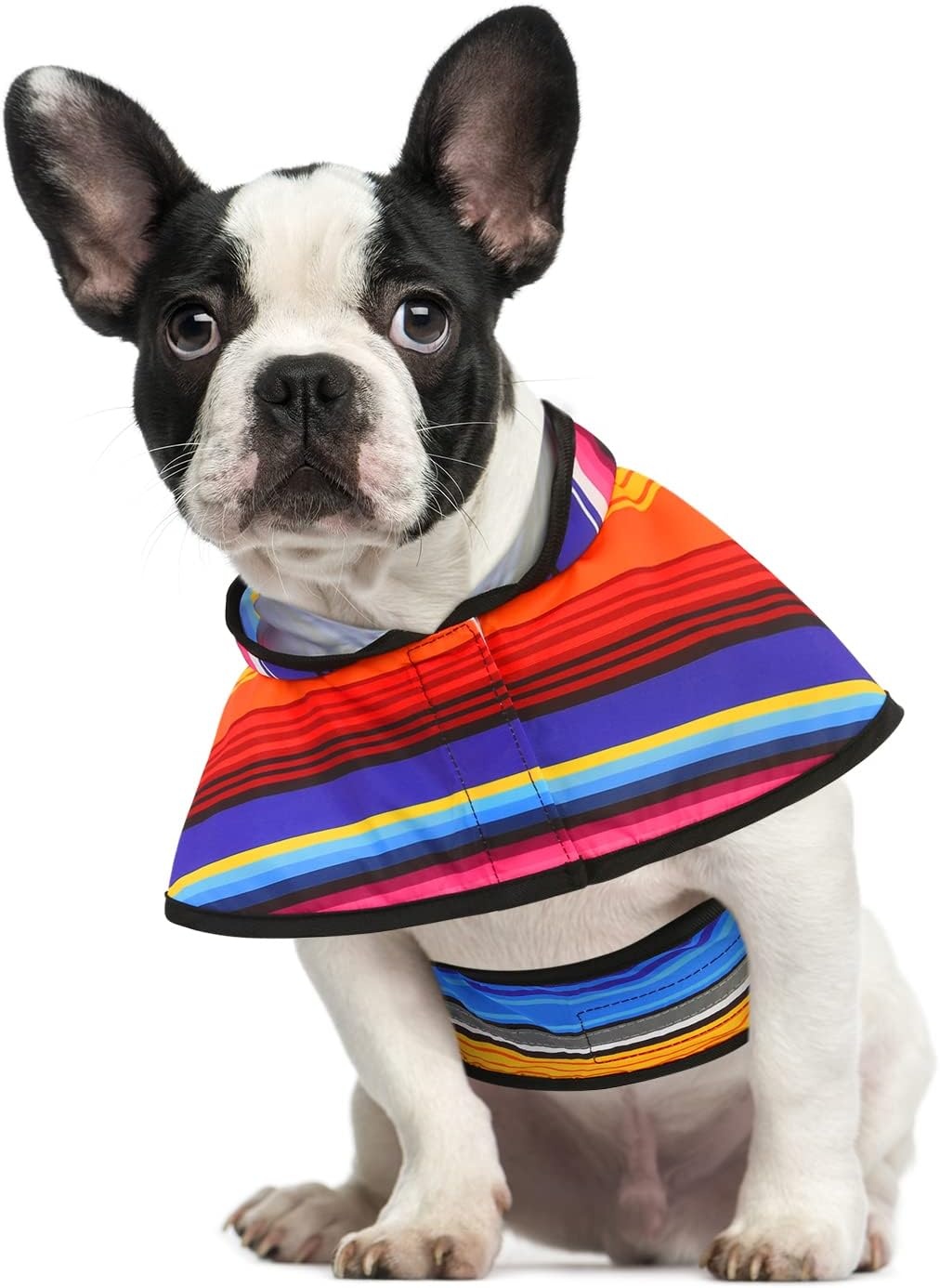 image:imageHDE Dog Raincoat Jacket Reflective Adjustable Hooded Pet Poncho Rain Coat with Leash Hole for Small to XLarge Dogs Rubber Ducks SBaja Stripes