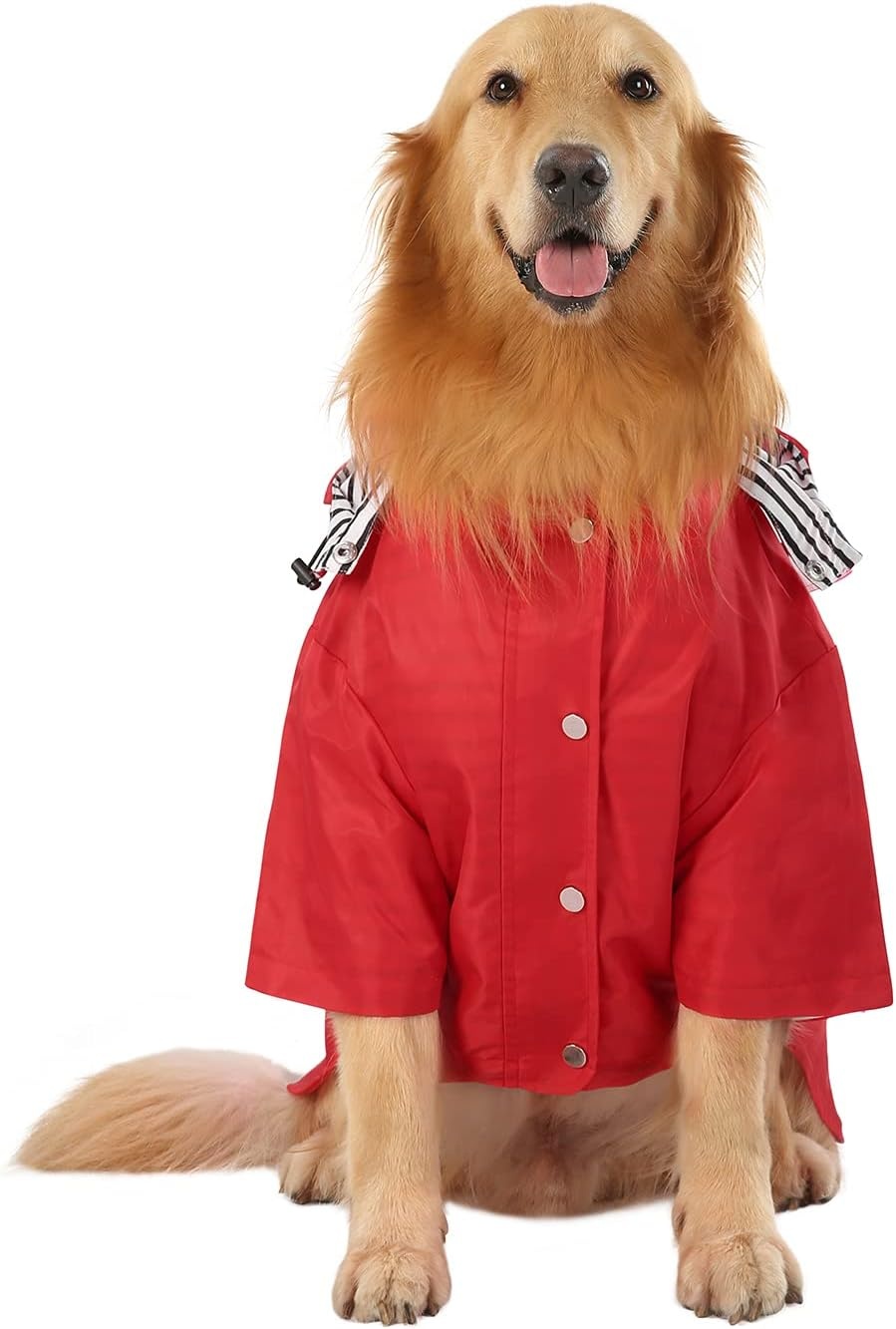 image:imageHDE Dog Raincoat Poncho Double Layer Zip Rain Jacket with Removable Hood Leash Hole for Small to 3XL Dogs and Puppies Dinosaurs SRed