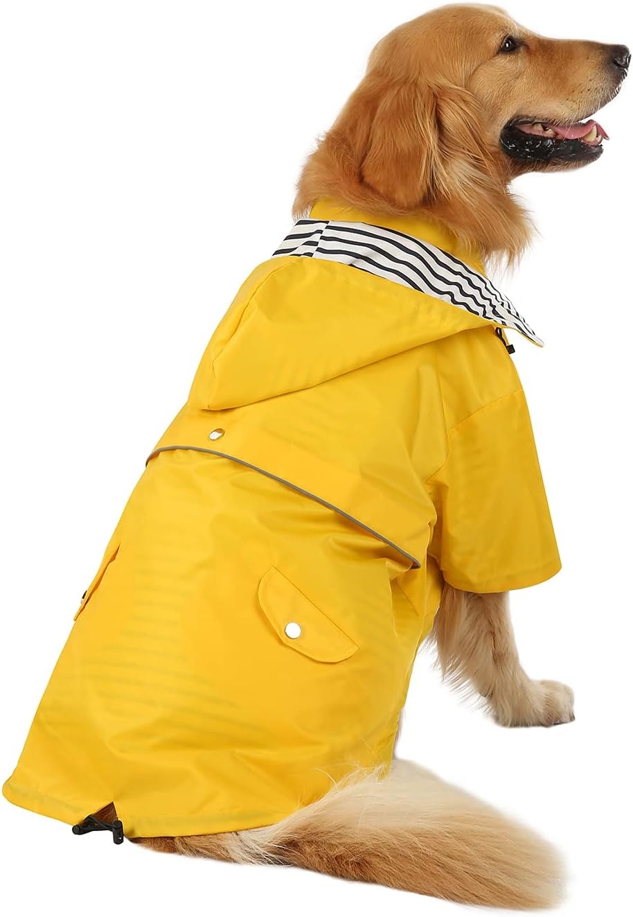 image:imageHDE Dog Raincoat Poncho Double Layer Zip Rain Jacket with Removable Hood Leash Hole for Small to 3XL Dogs and Puppies Dinosaurs SYellow