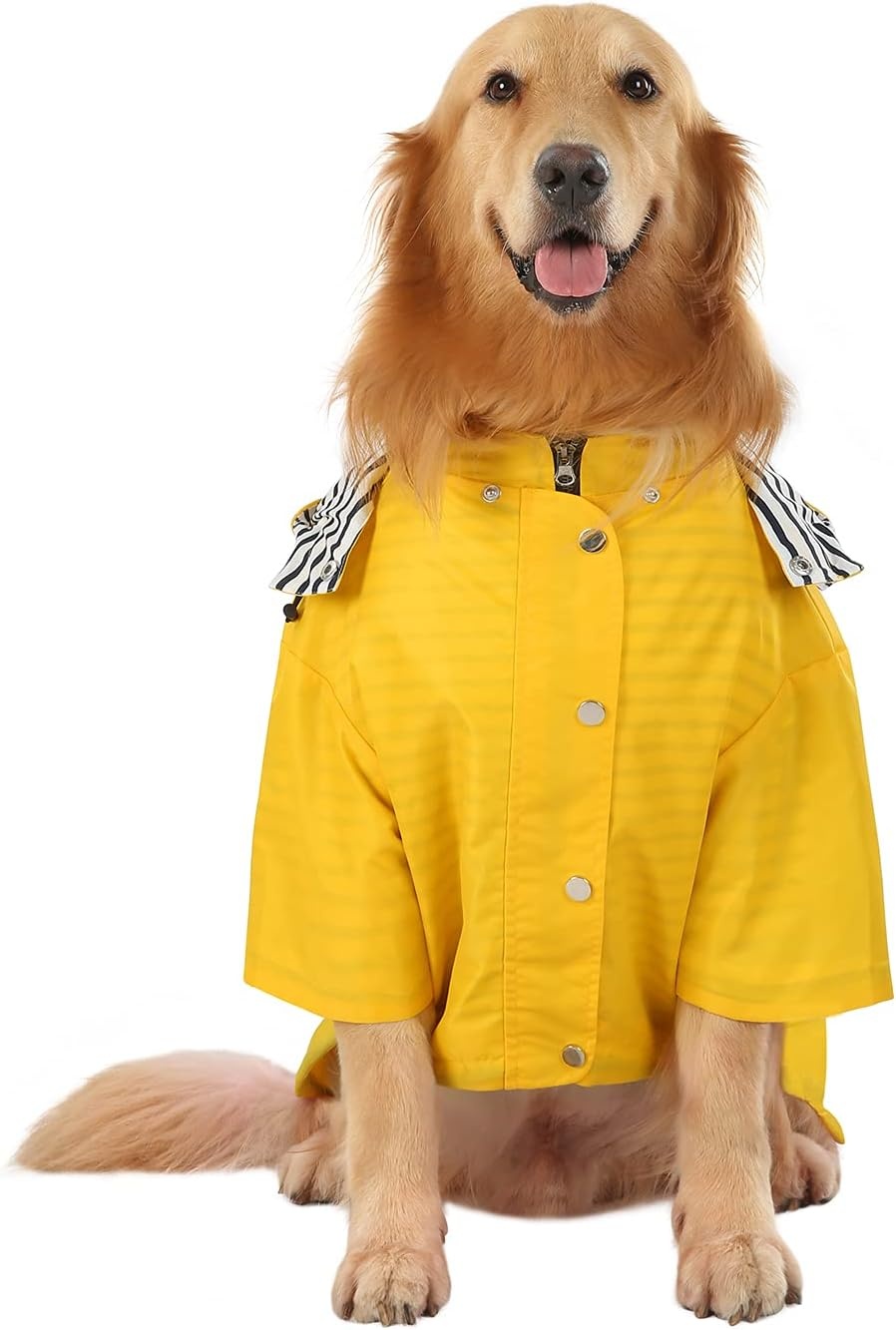 image:imageHDE Dog Raincoat Poncho Double Layer Zip Rain Jacket with Removable Hood Leash Hole for Small to 3XL Dogs and Puppies Dinosaurs SYellow