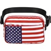 USA Flag
