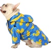 Ducks Blue