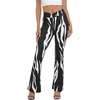 Abstract Zebra