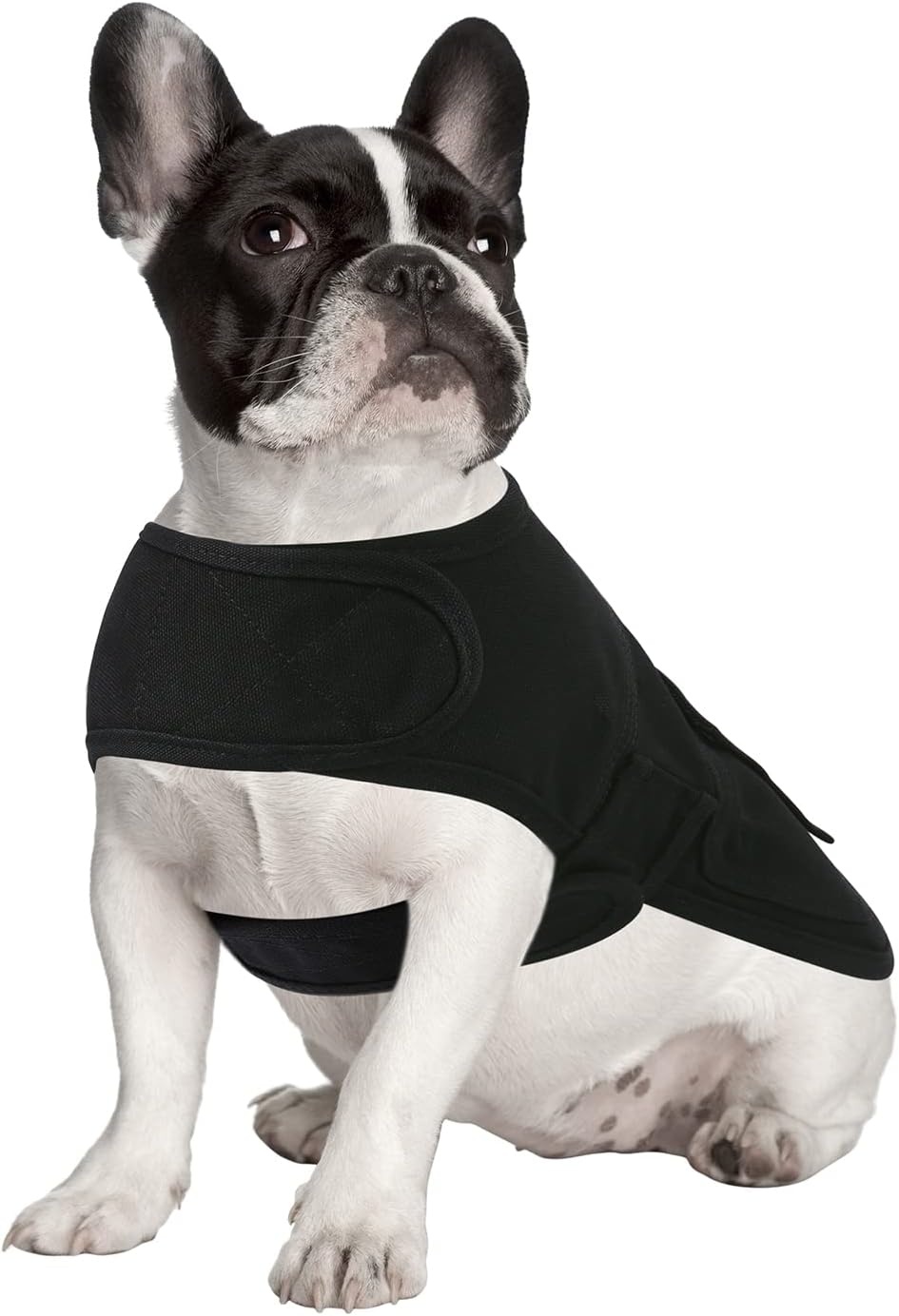 image:imageHDE Canvas Dog Vest Waterproof Jacket Cold Weather Coats for SXL Dogs Black SBlack