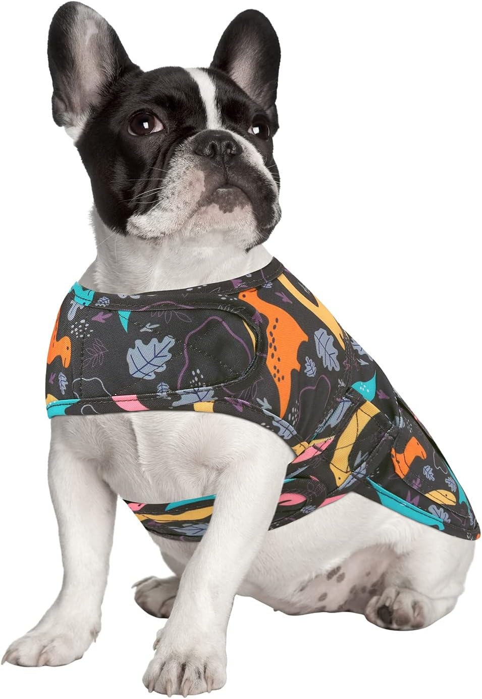 image:imageHDE Canvas Dog Vest Waterproof Jacket Cold Weather Coats for SXL Dogs Black SDinosaurs