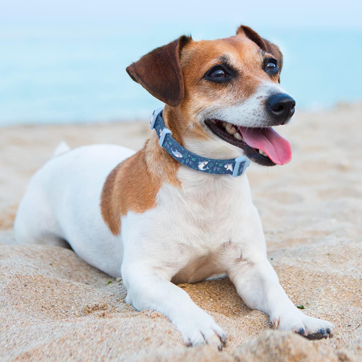 image:imageHDE Nylon Dog Collar Adjustable Soft Puppy Collars for Small Medium Large Dogs Dinosaurs MSharks
